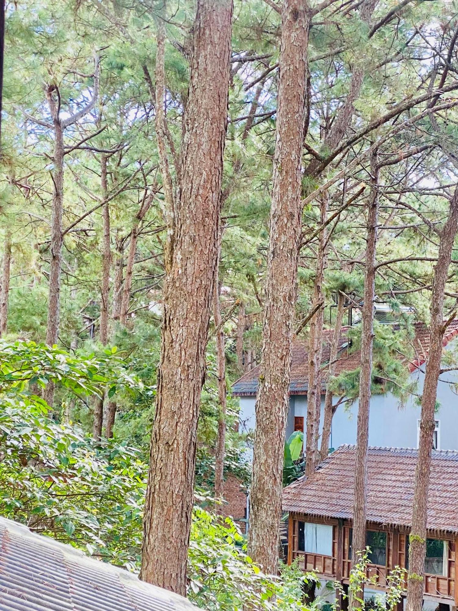 Tron Homestay Kon Von Kla Екстер'єр фото